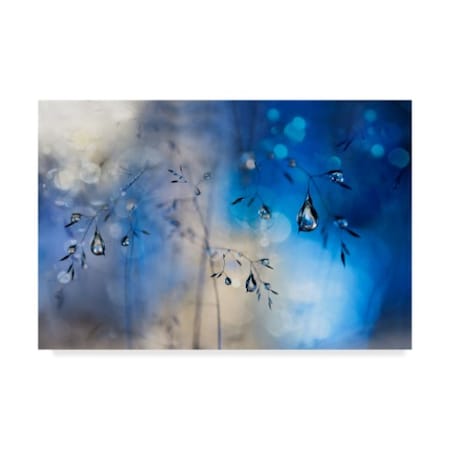 Trademark Fine Art Heidi Westum 'Blue Rain' Canvas Art, 12x19 1X07898-C1219GG